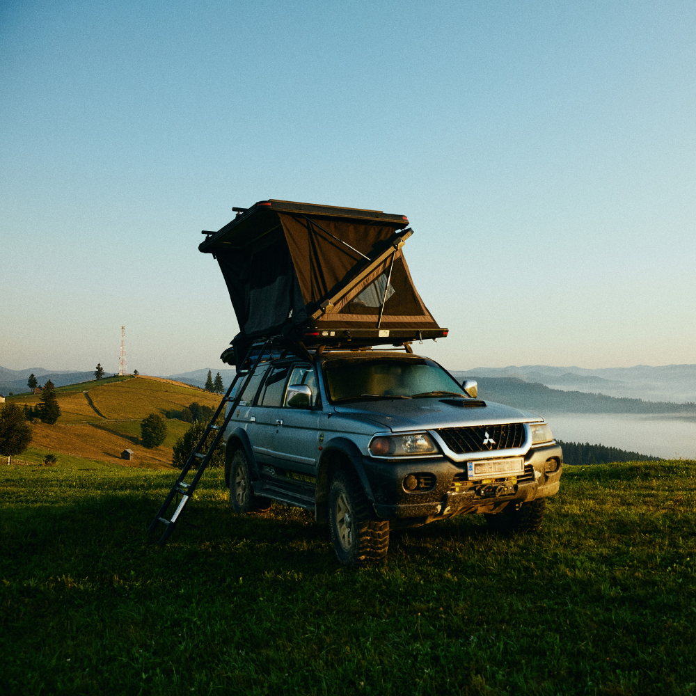 Wild Land Rock Cruiser
